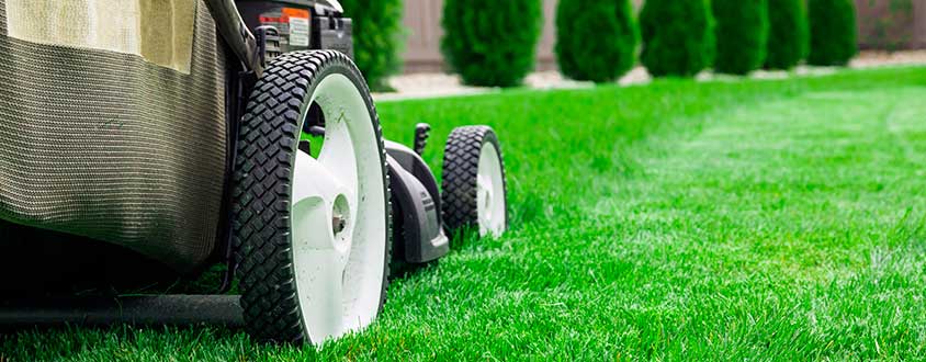 Top 5 Lawn Care Tips: Learn How To Do it By Your Own