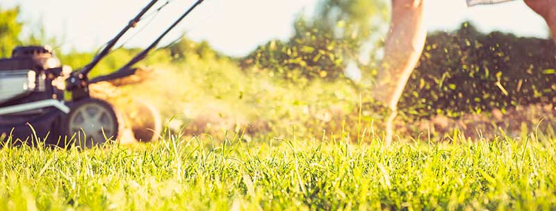 Young Man Mowing Lawn at Early Evening