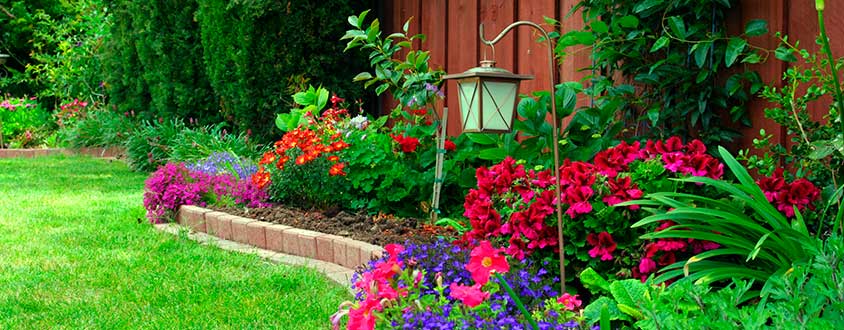 Stunning Backyard Landscape with Flower Bed