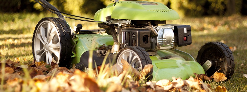 How short to cut grass before winter