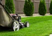 Lawn Care