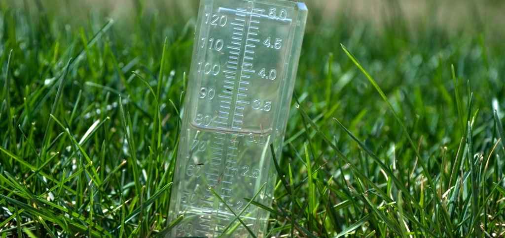 How Do I Know if My Grass is Hydrated