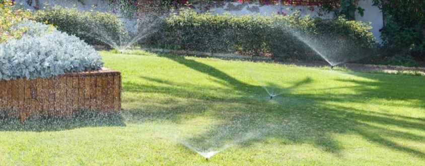 How Often to Water Lawn in Summer
