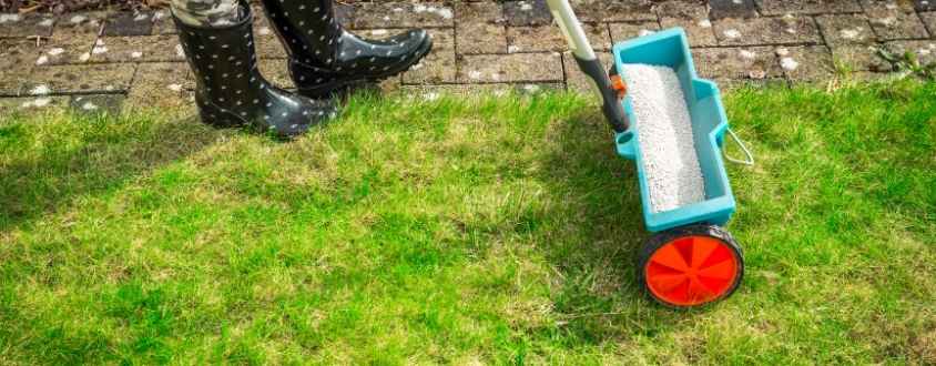 Avoid Over-Fertilizing Lawn
