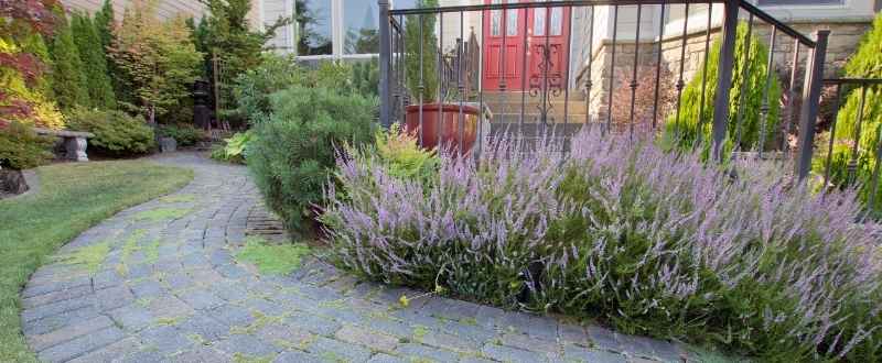 benefits of paver walkways