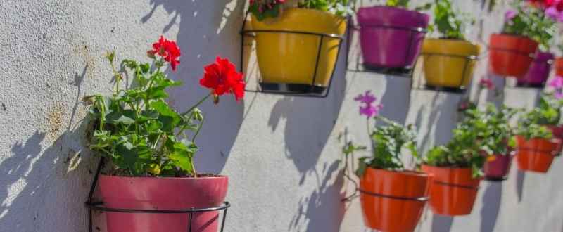 floral wall pot design