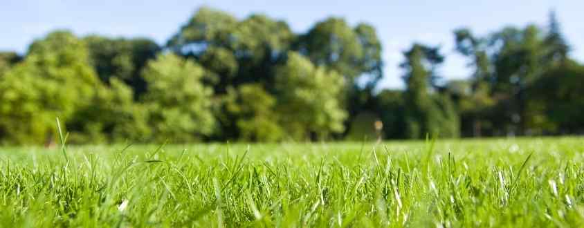 lawn installation tips and steps