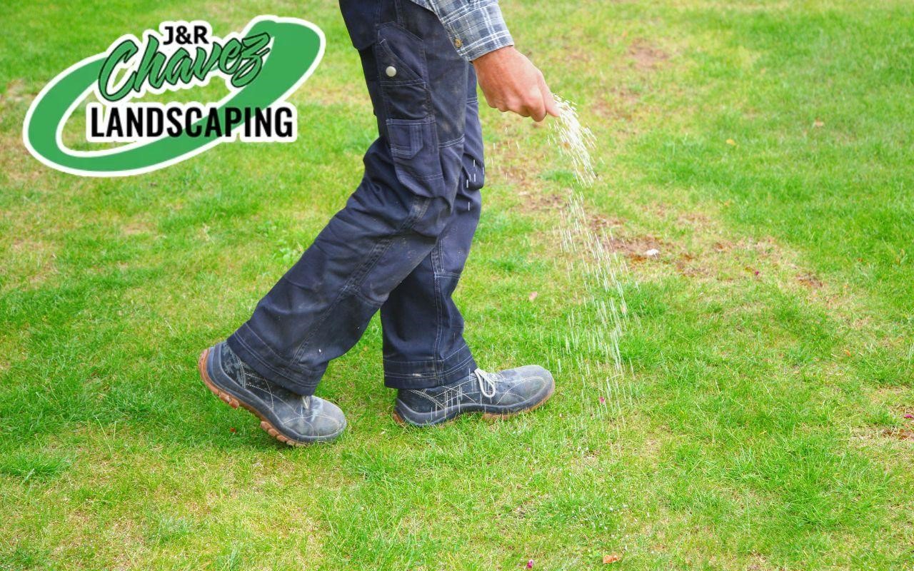 The best tips that you would need to keep your lawn beautiful