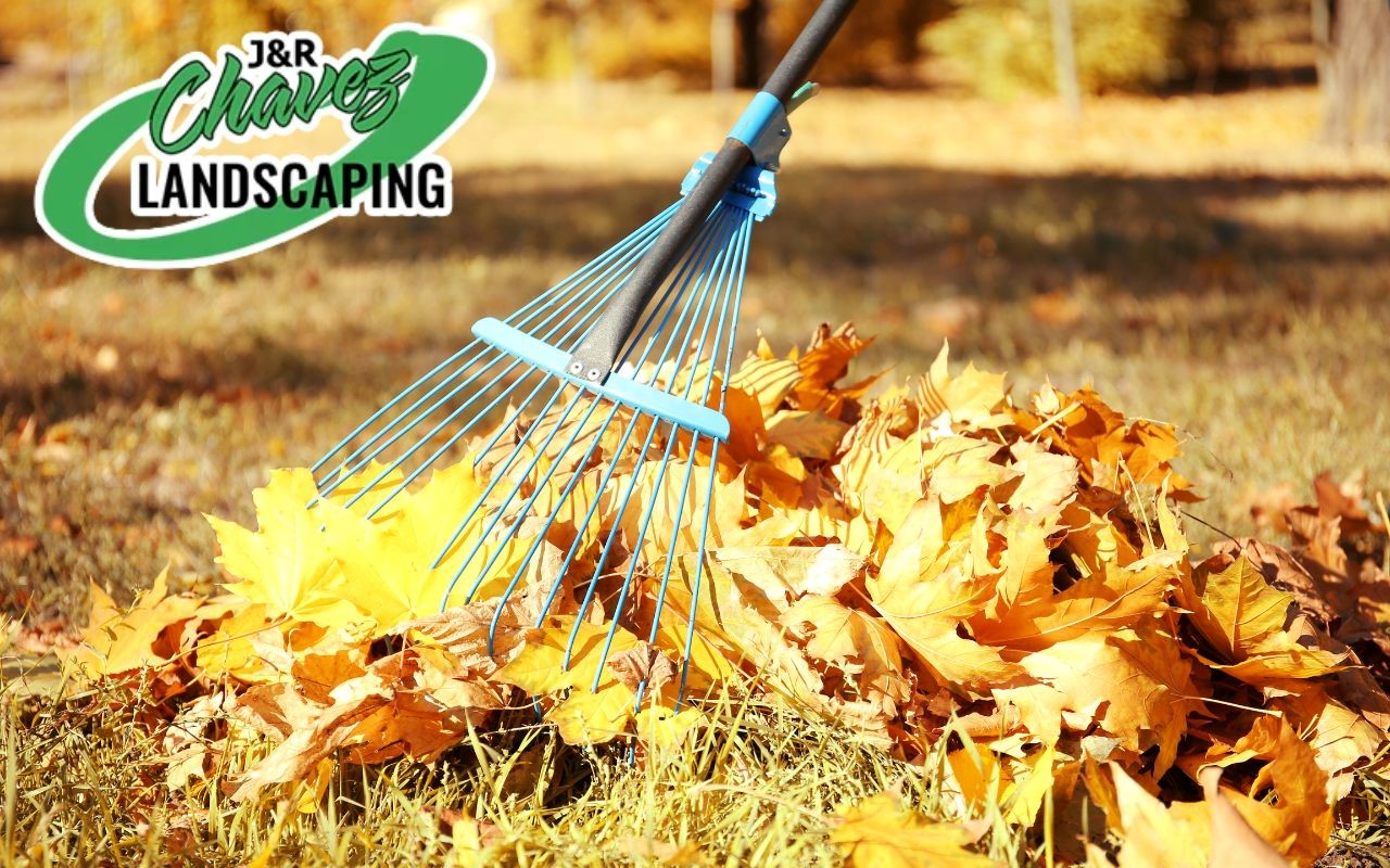 Discover the best tips to keep your lawn beautiful in the fall.