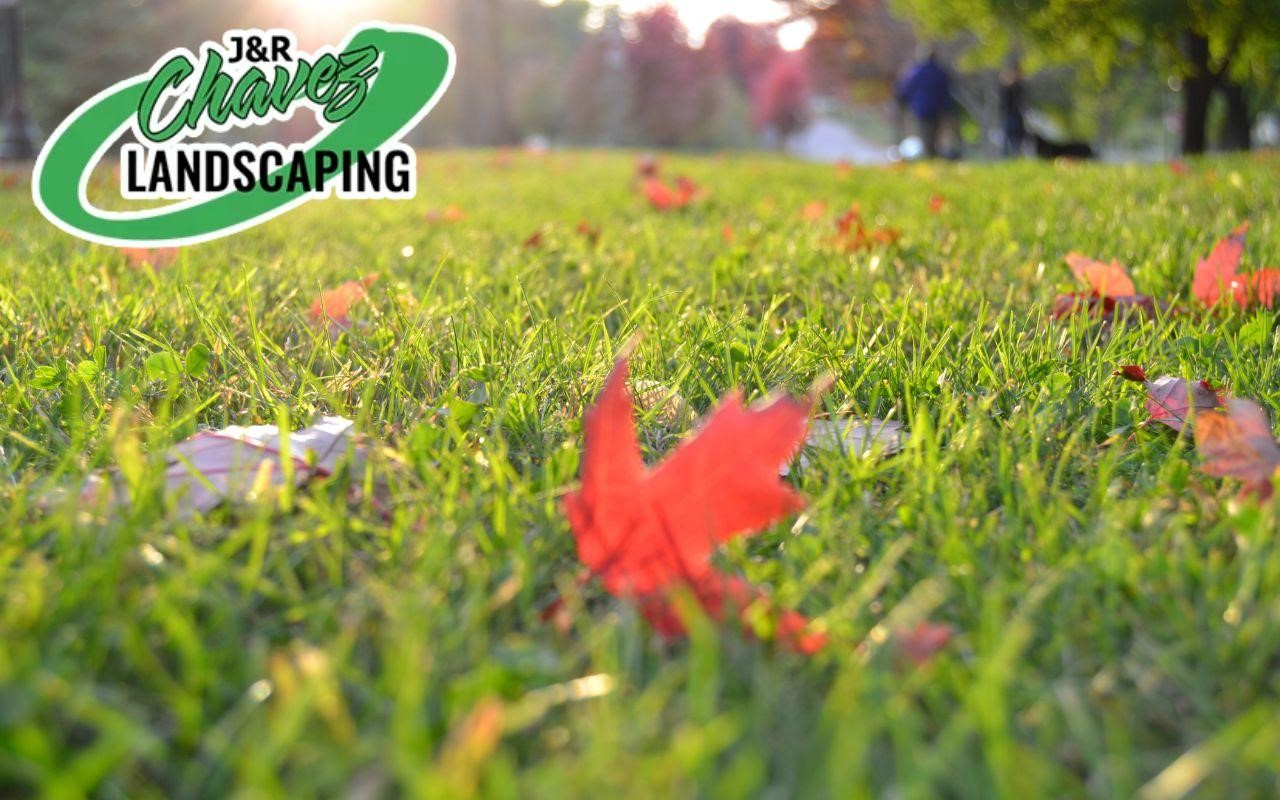 Keep your lawn beautiful and neat with the help of J&R Chavez Landscaping.