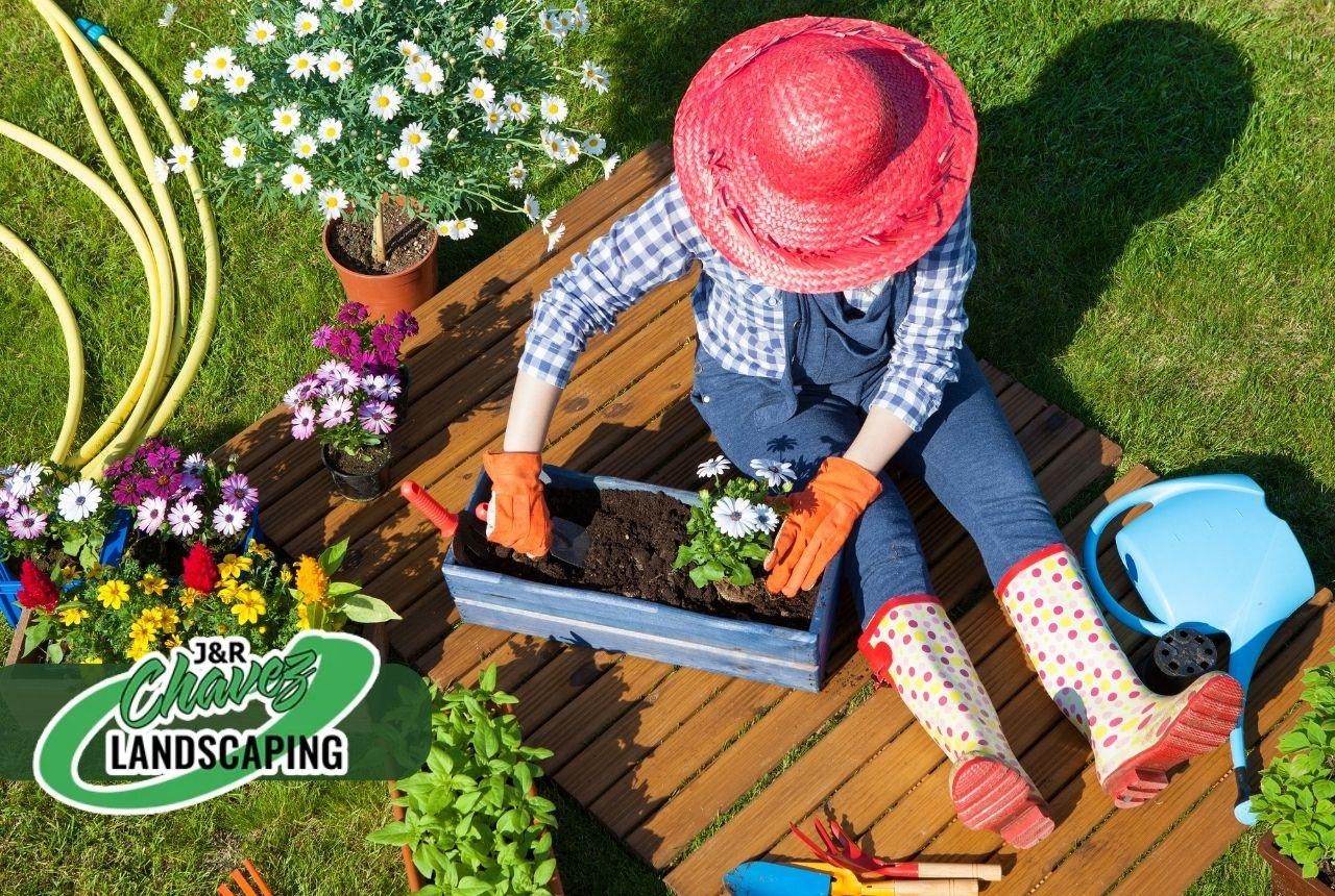 Tips and tricks to follow to make your garden beautiful