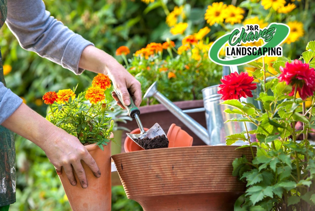  4 reasons why you should take care of your garden