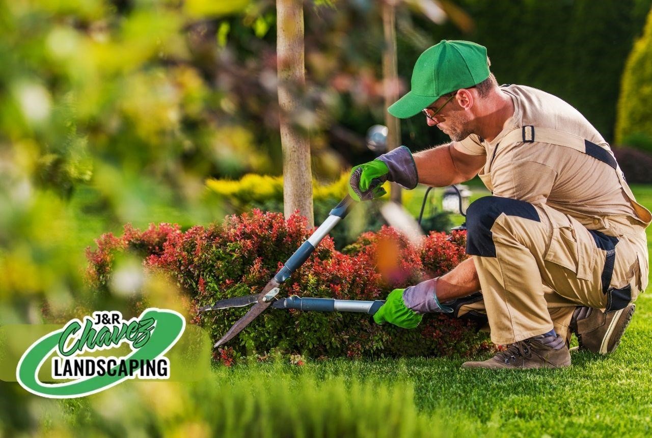 Get professional landscaping services