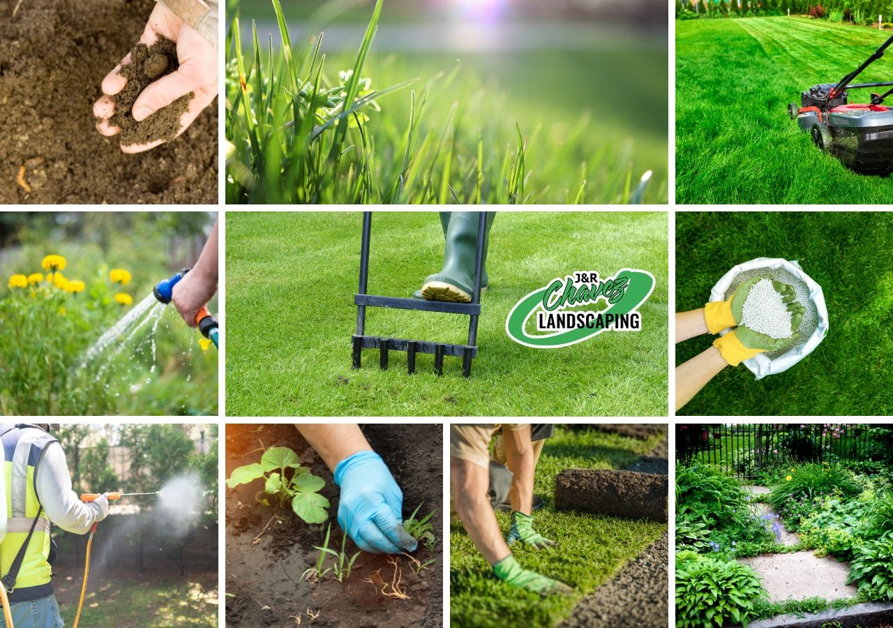 Create and Maintain a Gorgeous Lawn - 10 Essential Tips