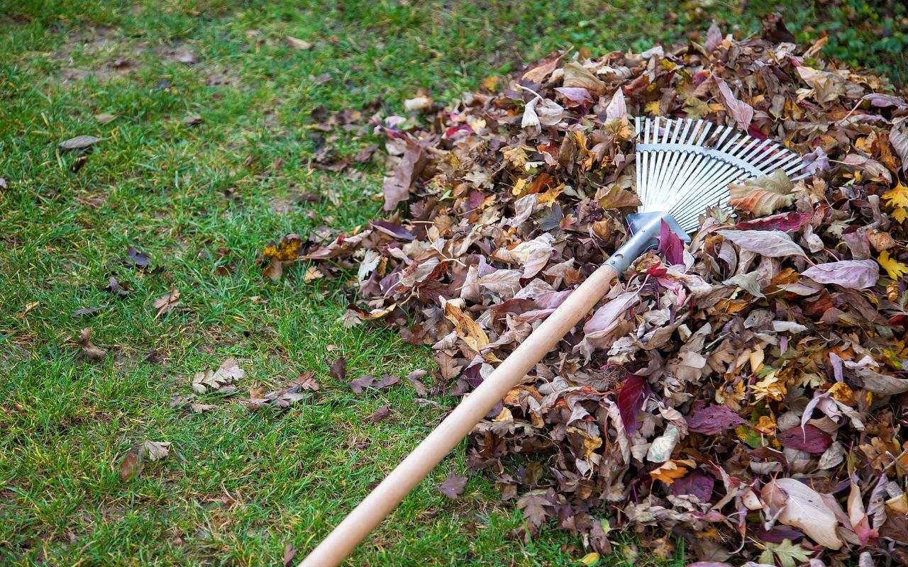 Spring Cleanups in Lexington Park