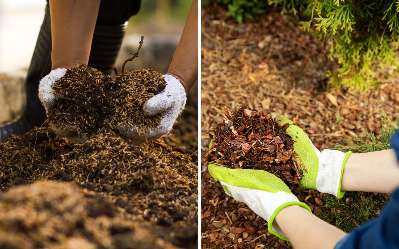 Mulch vs Compost: Unveiling the Garden's Best-Kept Secrets